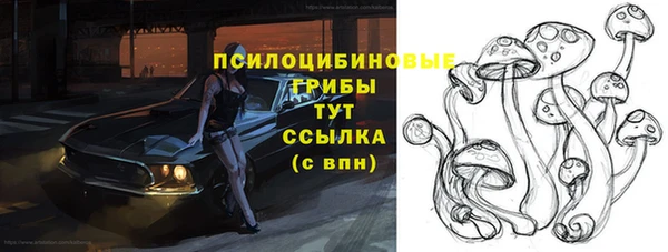 стаф Белоозёрский