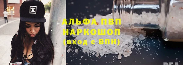 ПСИЛОЦИБИНОВЫЕ ГРИБЫ Белокуриха