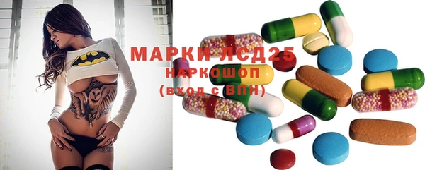 стаф Белоозёрский