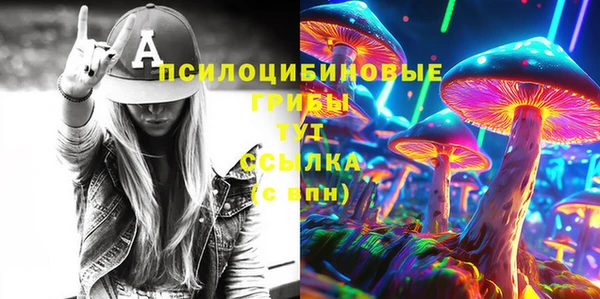 ПСИЛОЦИБИНОВЫЕ ГРИБЫ Белокуриха