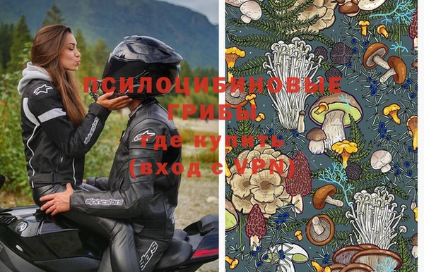 ПСИЛОЦИБИНОВЫЕ ГРИБЫ Белокуриха