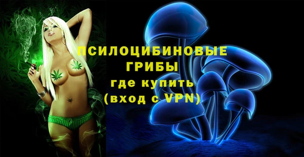 ПСИЛОЦИБИНОВЫЕ ГРИБЫ Белокуриха
