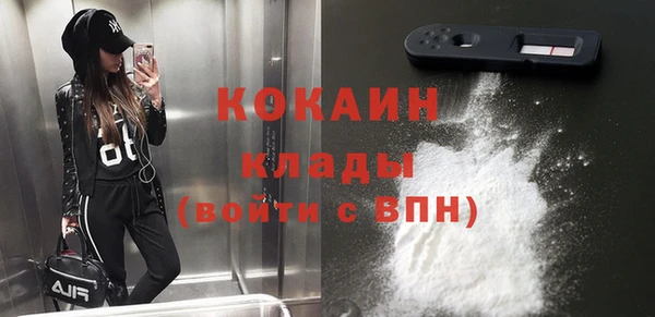 ПСИЛОЦИБИНОВЫЕ ГРИБЫ Белокуриха
