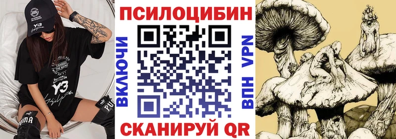 Галлюциногенные грибы прущие грибы закладки Гусев