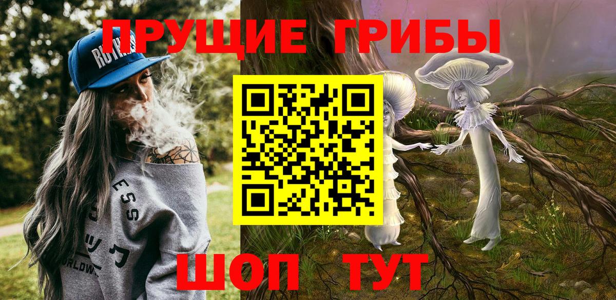 Гусев  Псилоцибиновые грибы Psilocybine cubensis  Вход с VPN 