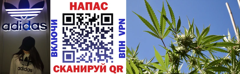 где купить наркоту  Гусев  Канабис White Widow 